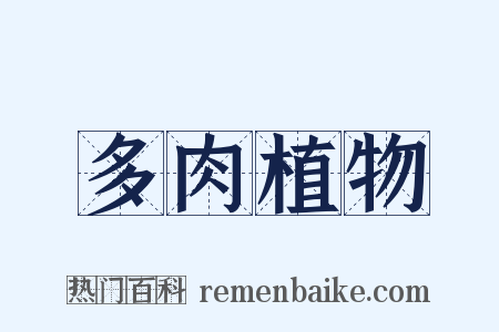 多肉植物是什么意思的图片